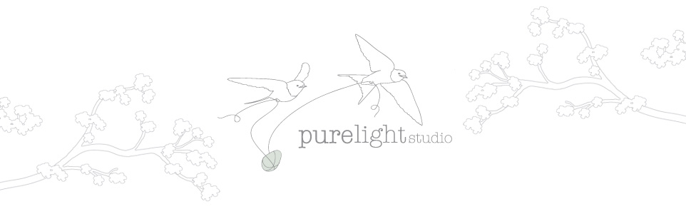 pure light photography studio